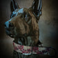 "Les Roses de l’Ombre" Collier pour chien