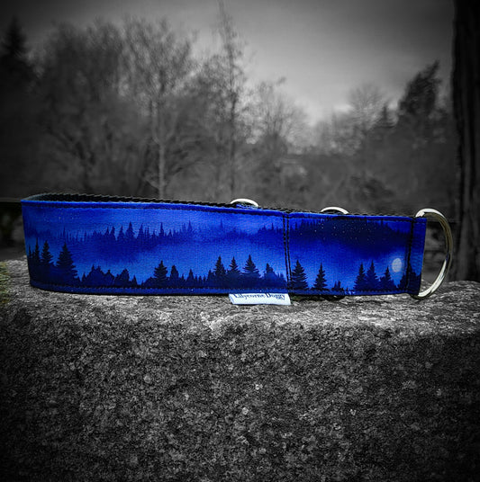 Collier pour chien - Noctis