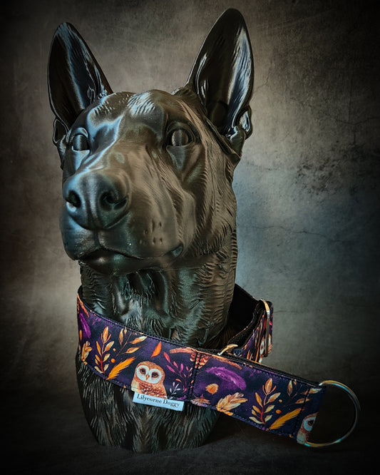 Collier pour chien - Nyra