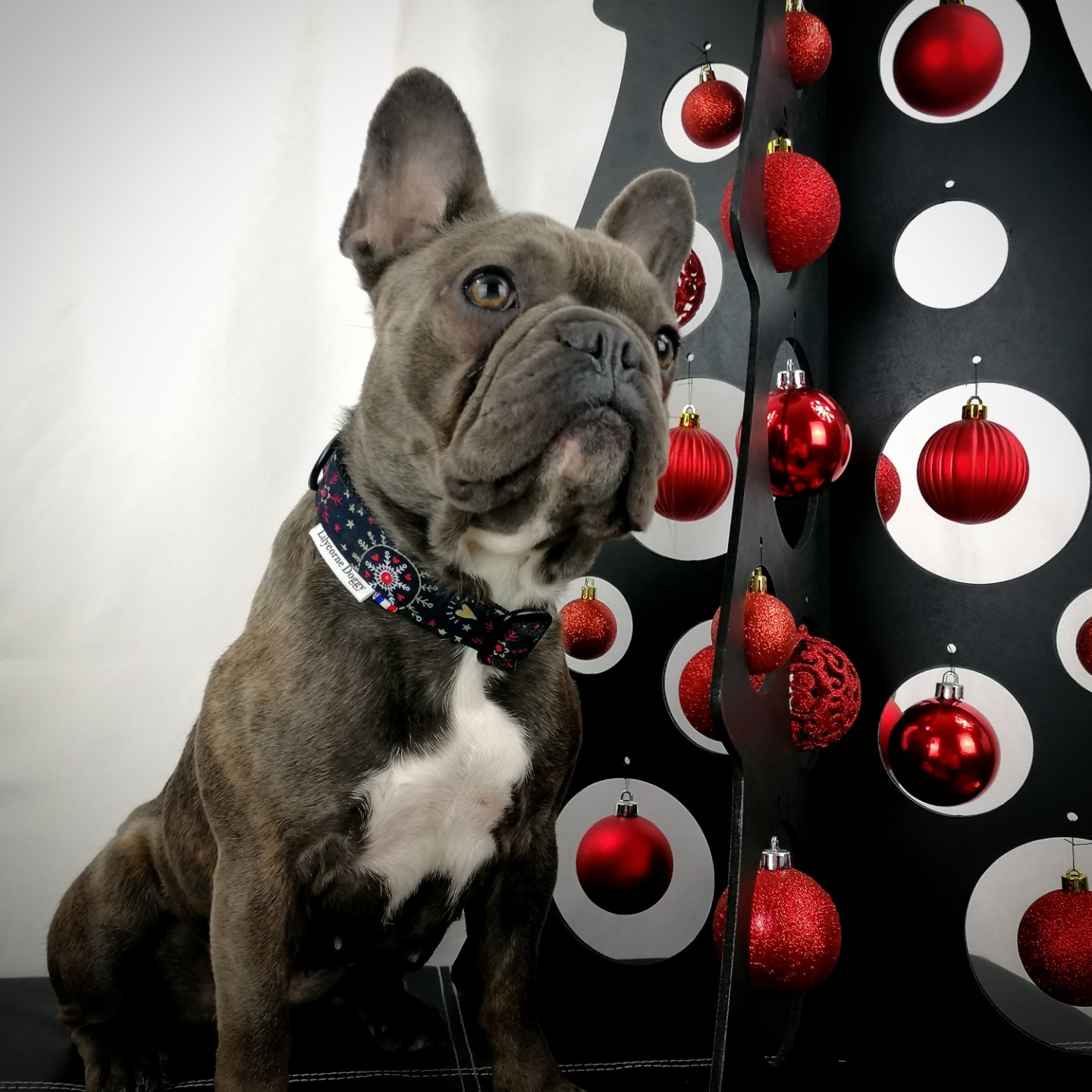 Collier pour chien : Noël