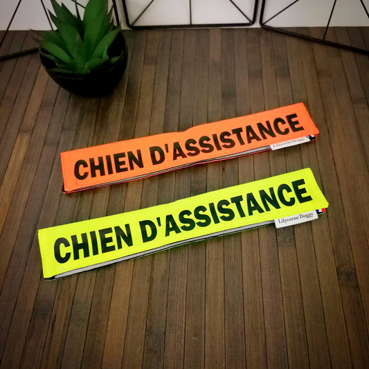 Manchette CHIEN D'ASSISTANCE